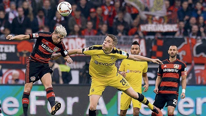 它们对应玩 它们对应玩